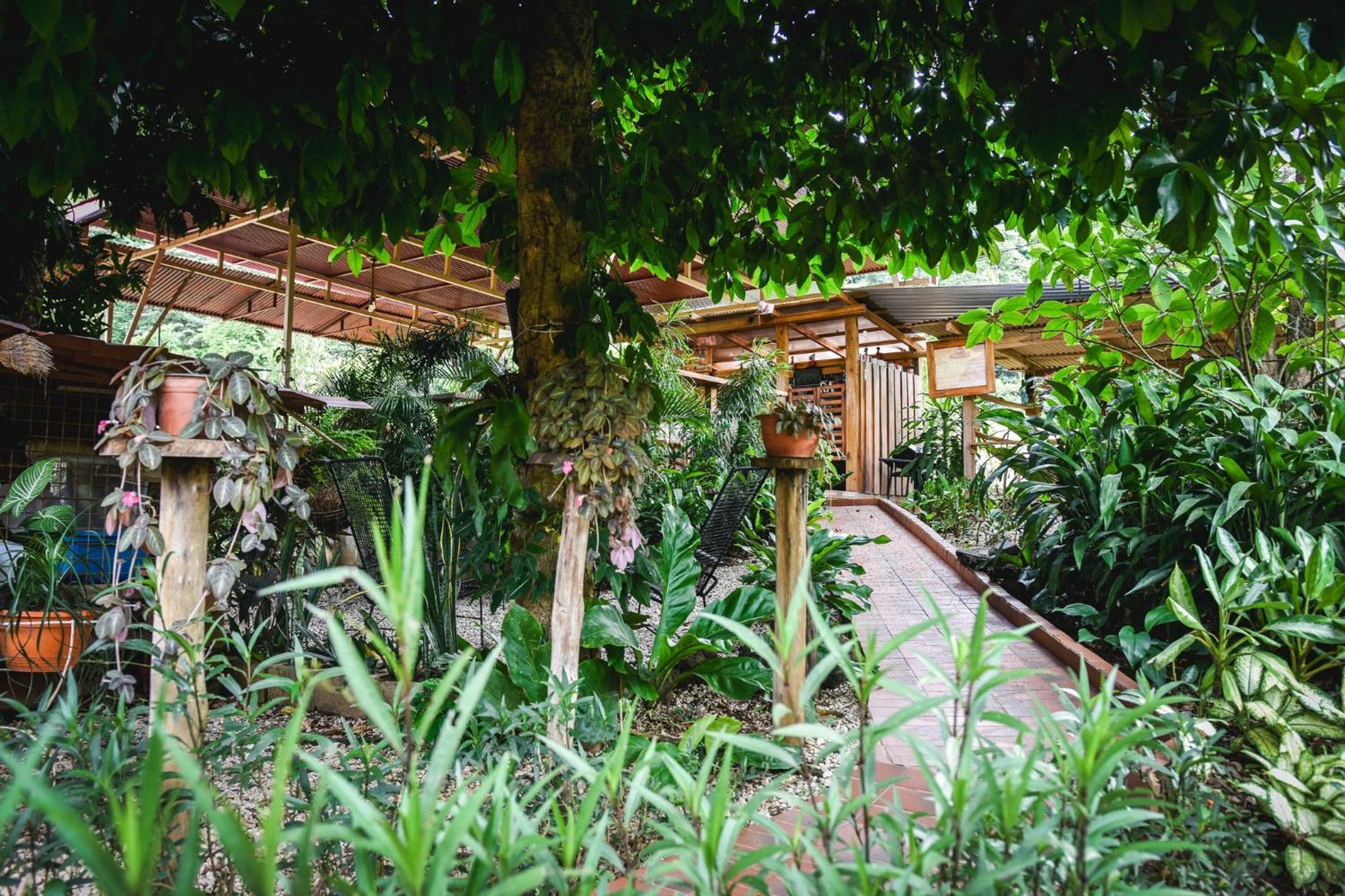 Casa Cora Bed And Breakfast Carmona Exteriör bild